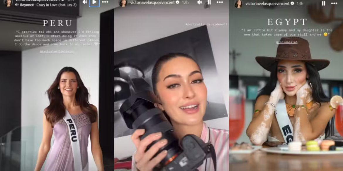 Kiwi-1200×600.png (1)