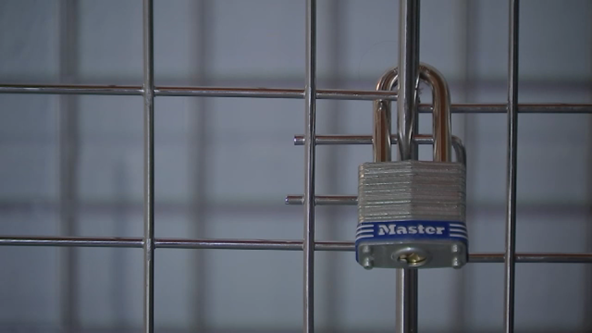 15693499_122224-ktrk-child-in-cage-sw-img