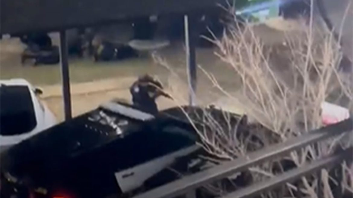 ea1af0e1-cfdb-4442-be53-21be7957585a_1920x1080