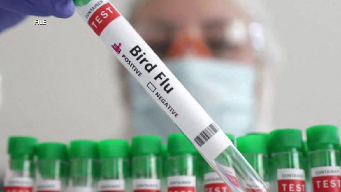 e7a3eb50-0ed5-4461-92f3-0a69fb1bc9d7_1920x1080