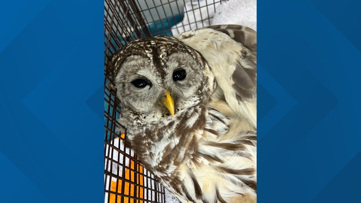 f8f70ac9-cf81-4ea6-a669-c6467c553b84_1920x1080