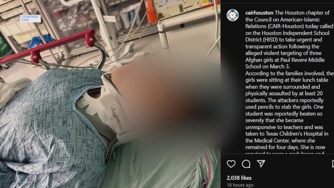 63c517e8-1089-4d68-b5ff-2fbf20ad3133_1920x1080