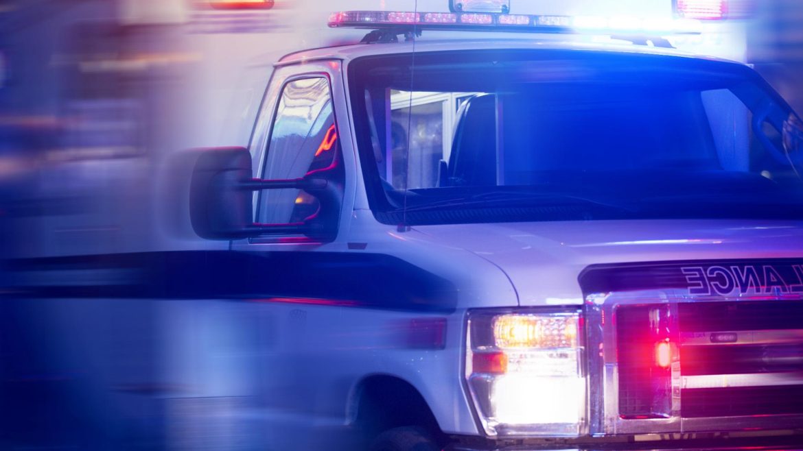 b6e1a3de-2501-4868-839e-dbabbd1b7c5b_1920x1080