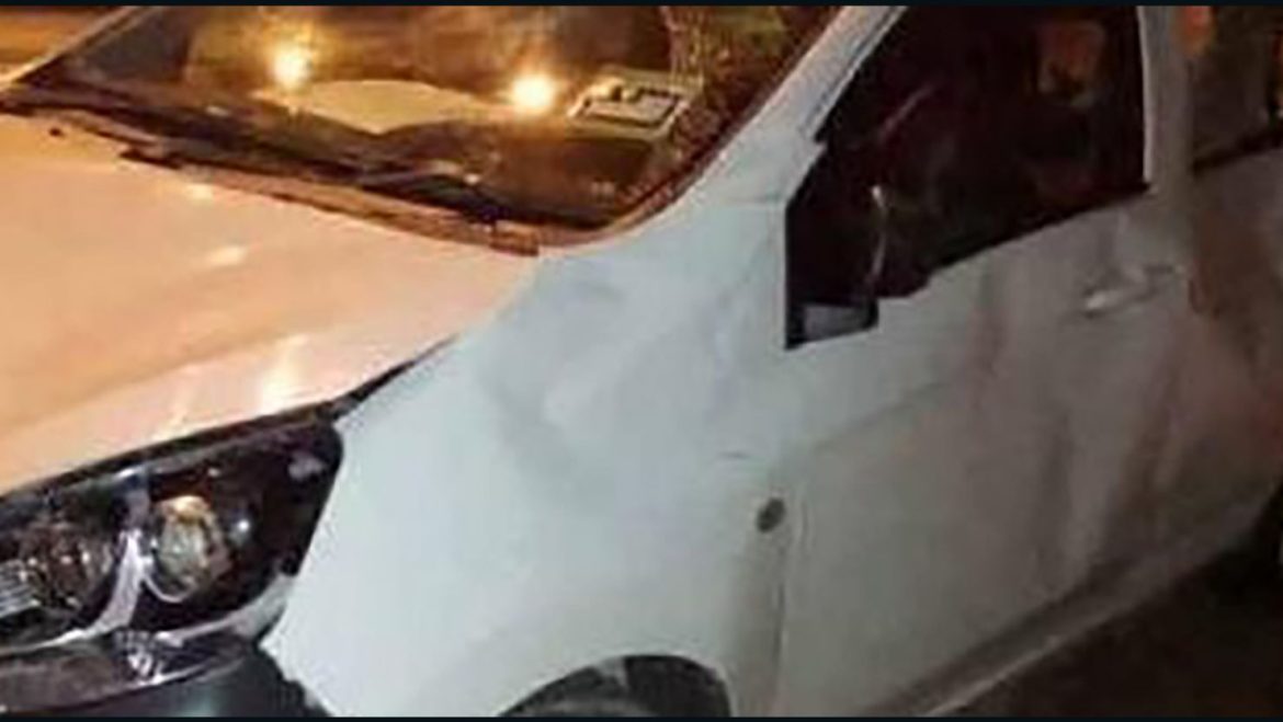 231128112626-perodua-axia-elephant-malaysia