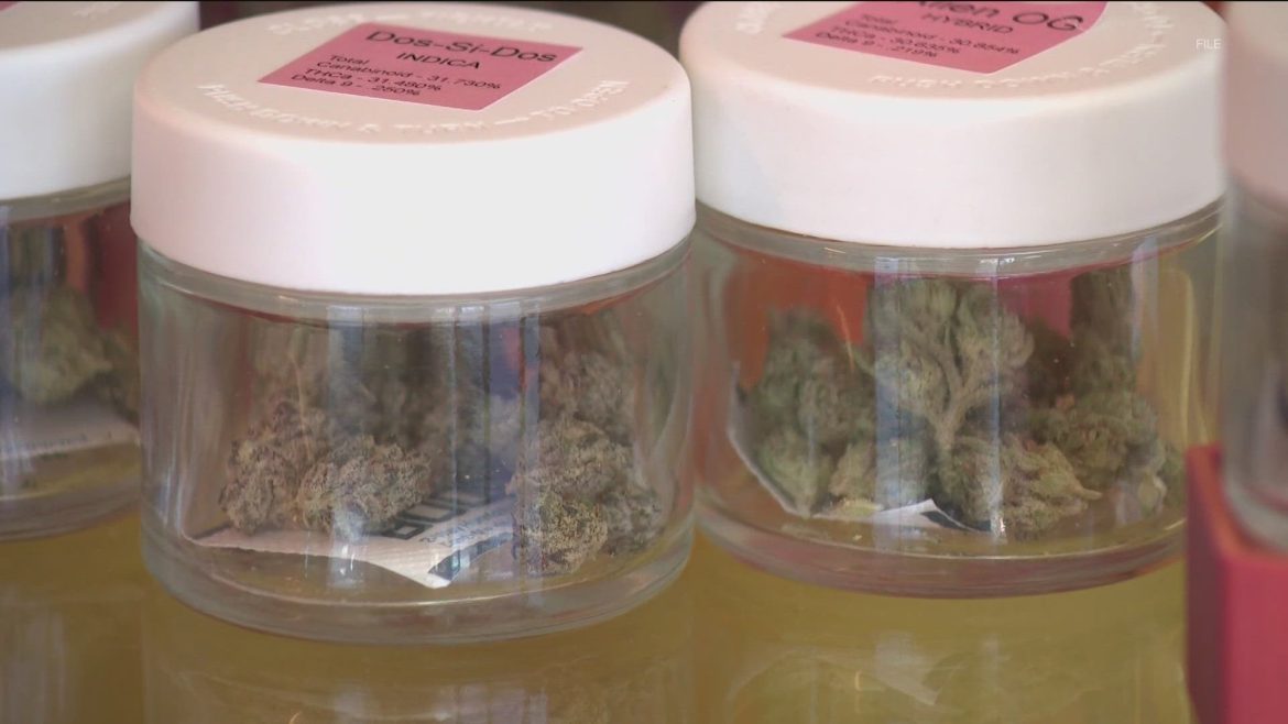 7a4c21ba-41ac-4c95-a7fd-aa3b1146ec36_1920x1080