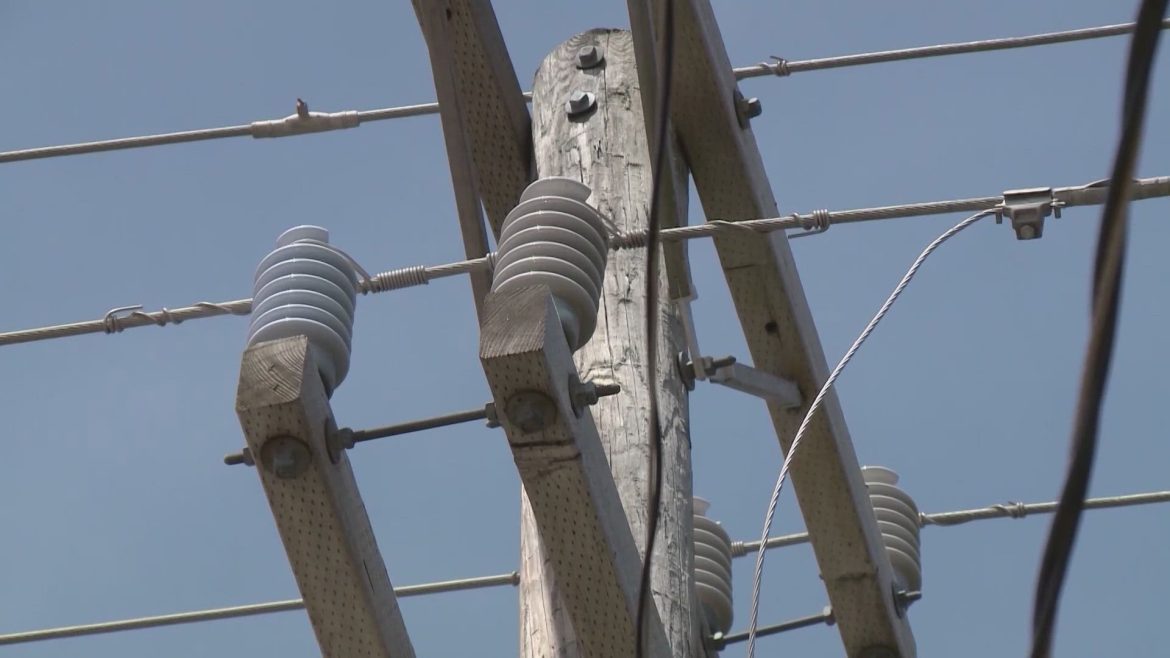 982de15a-45e3-4134-902e-8b41030310b0_1920x1080