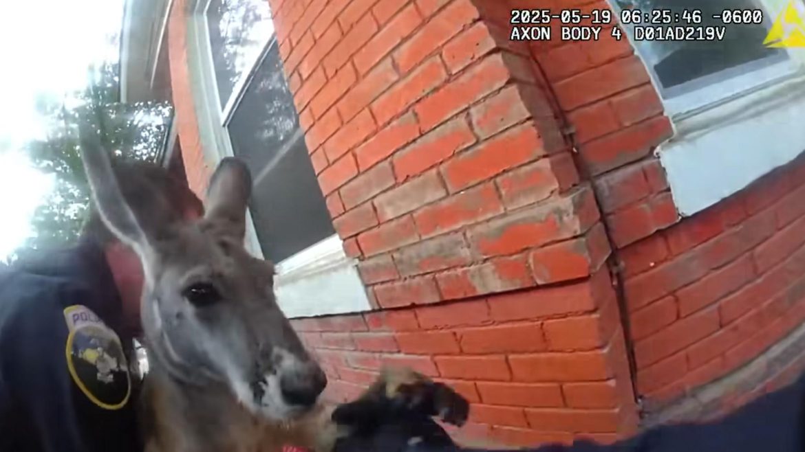 a9a16f1c-2150-44f7-9a5f-adf3750f8d3e_1920x1080