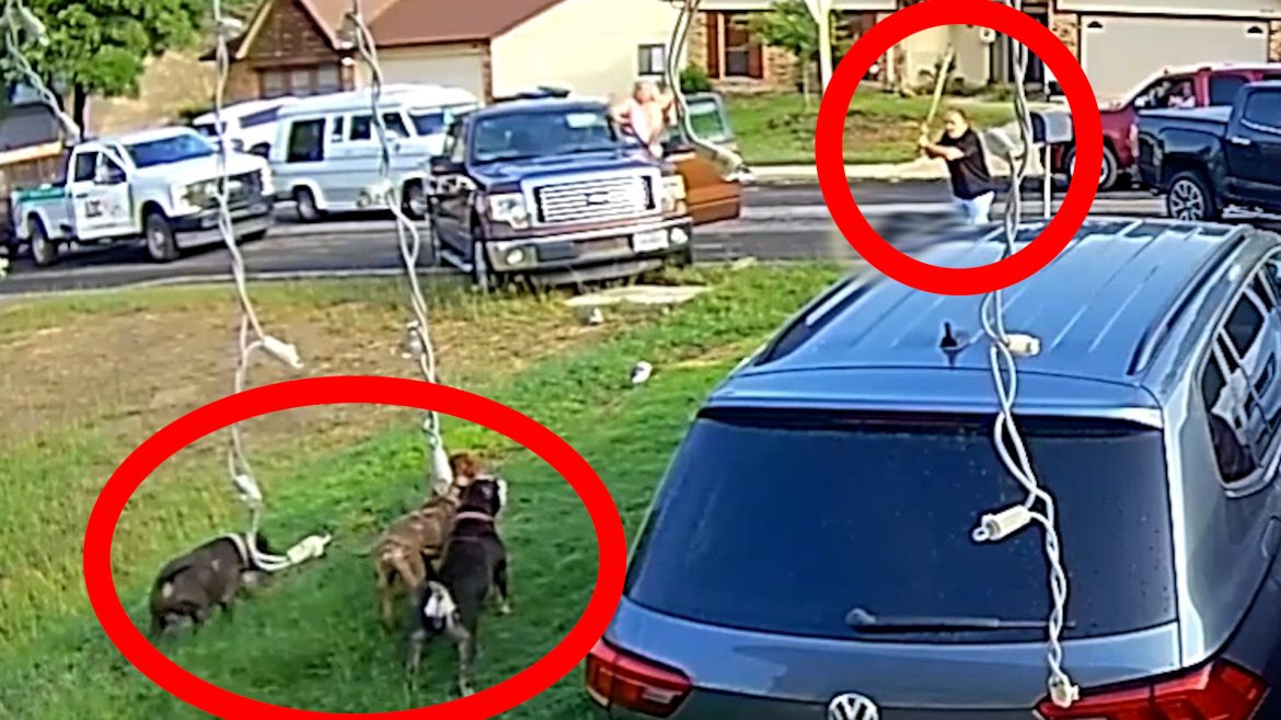 b9778d62-6dd8-4a02-a06a-36721d0e4ab9_1920x1080