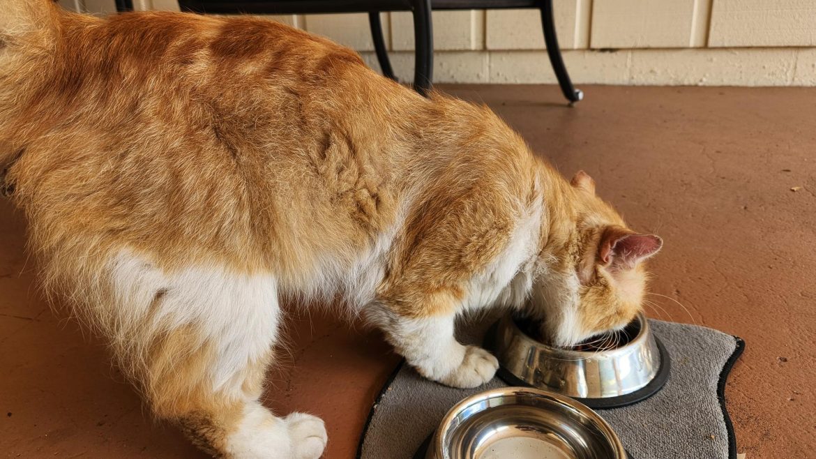 c44df741-6162-4058-ac39-5c0e9a8ad281_1920x1080