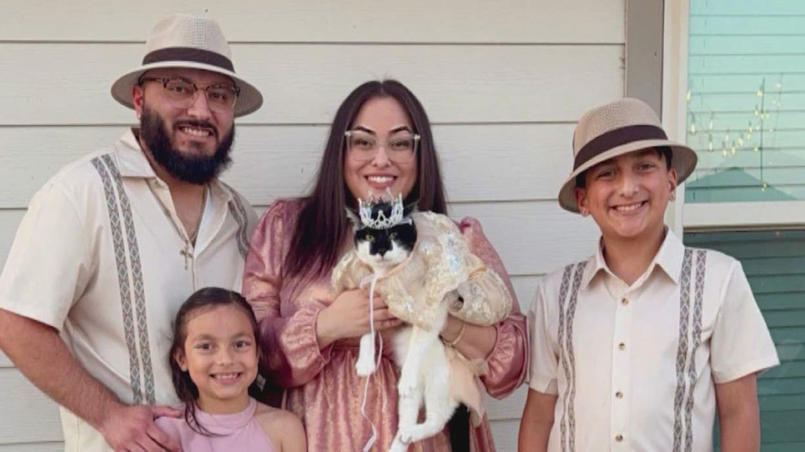 fdb89ec8-a7e9-47c3-9b26-46c6b85a5f8c_1920x1080