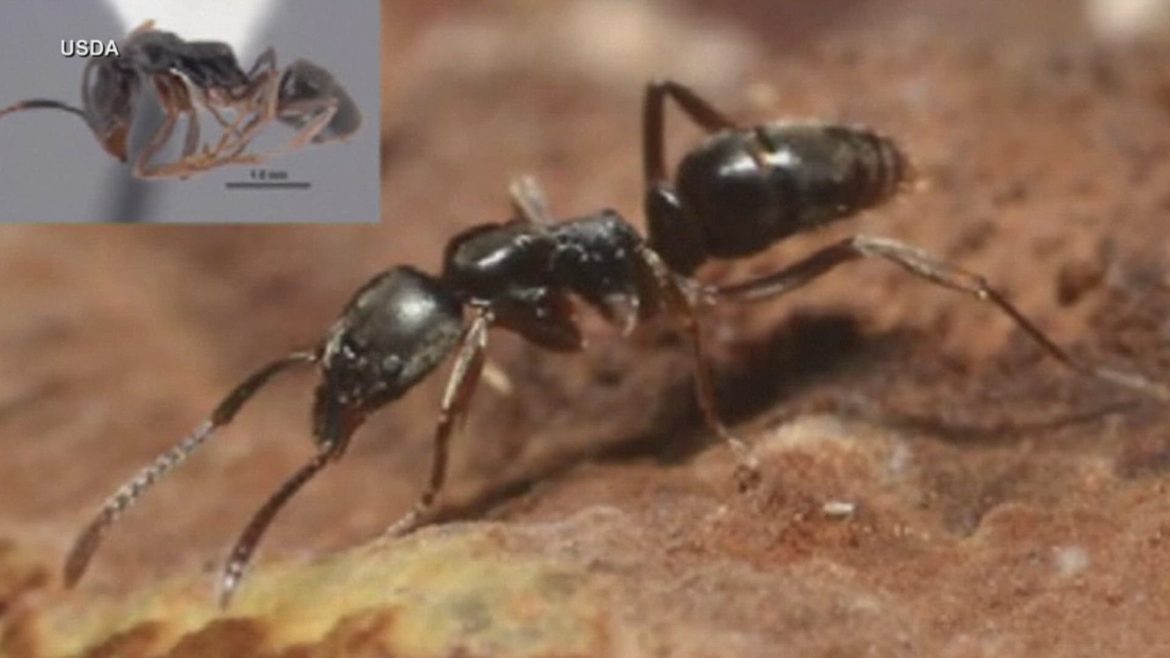 0f67fb60-ca0c-4628-bf29-1a1a61de983a_1920x1080