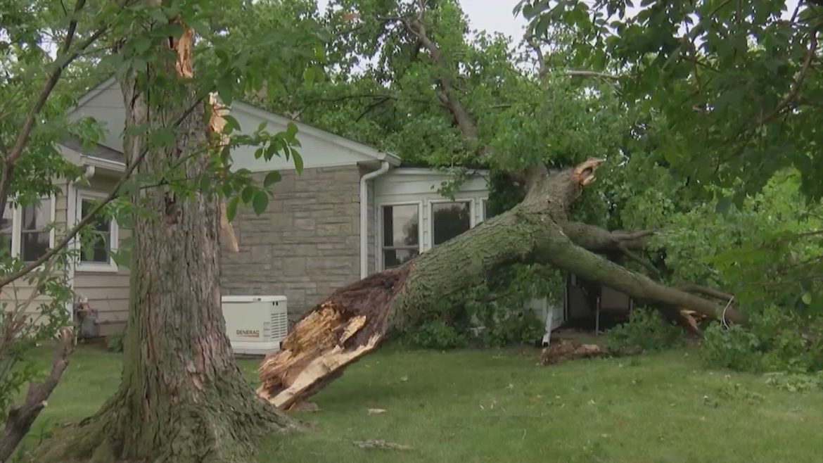 28e9cf50-c3ea-4547-a8c7-be021cbbaa07_1920x1080