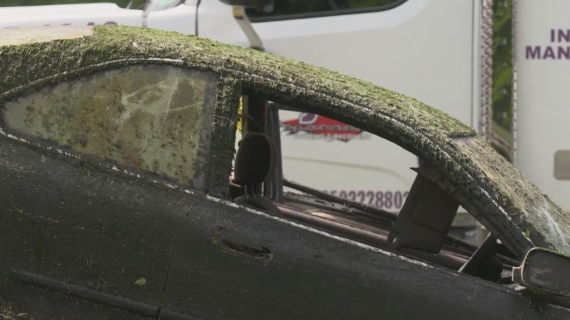 542f93bf-f61a-44f8-b887-1e06d1f22489_1920x1080