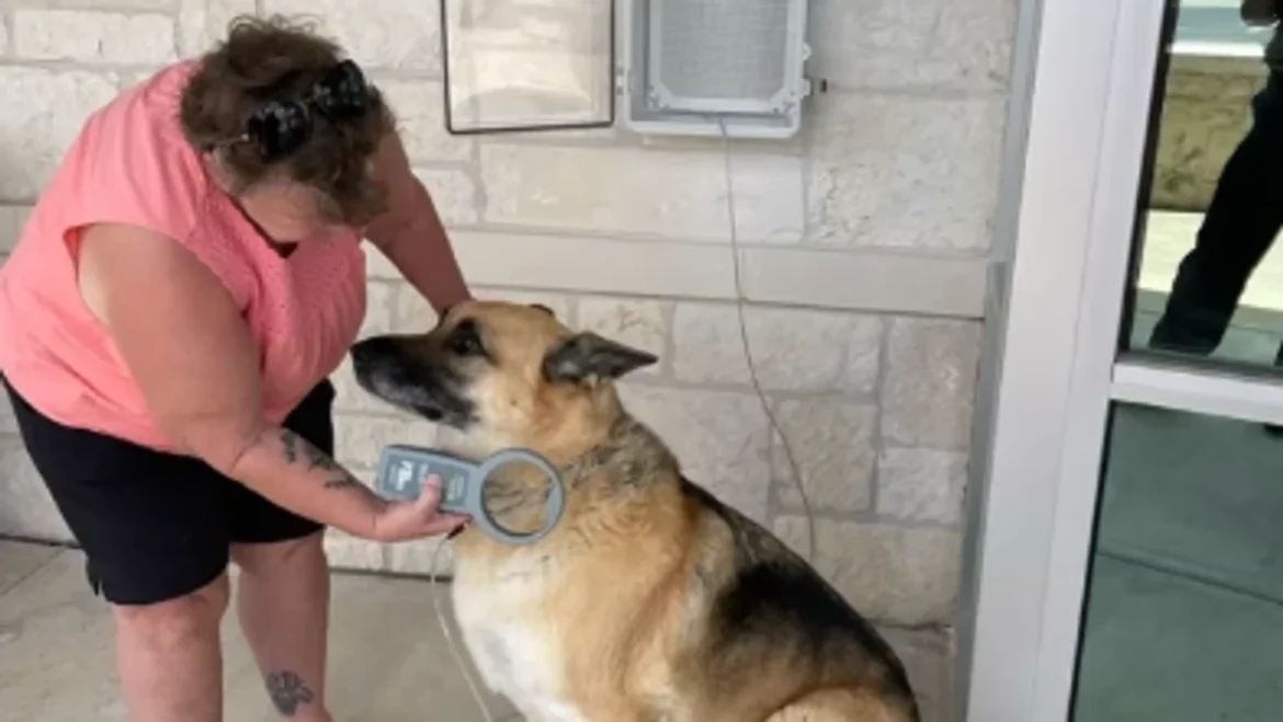 37e0e931-2be1-4037-b361-d4720bdb4a52-Screenshot20250702053007