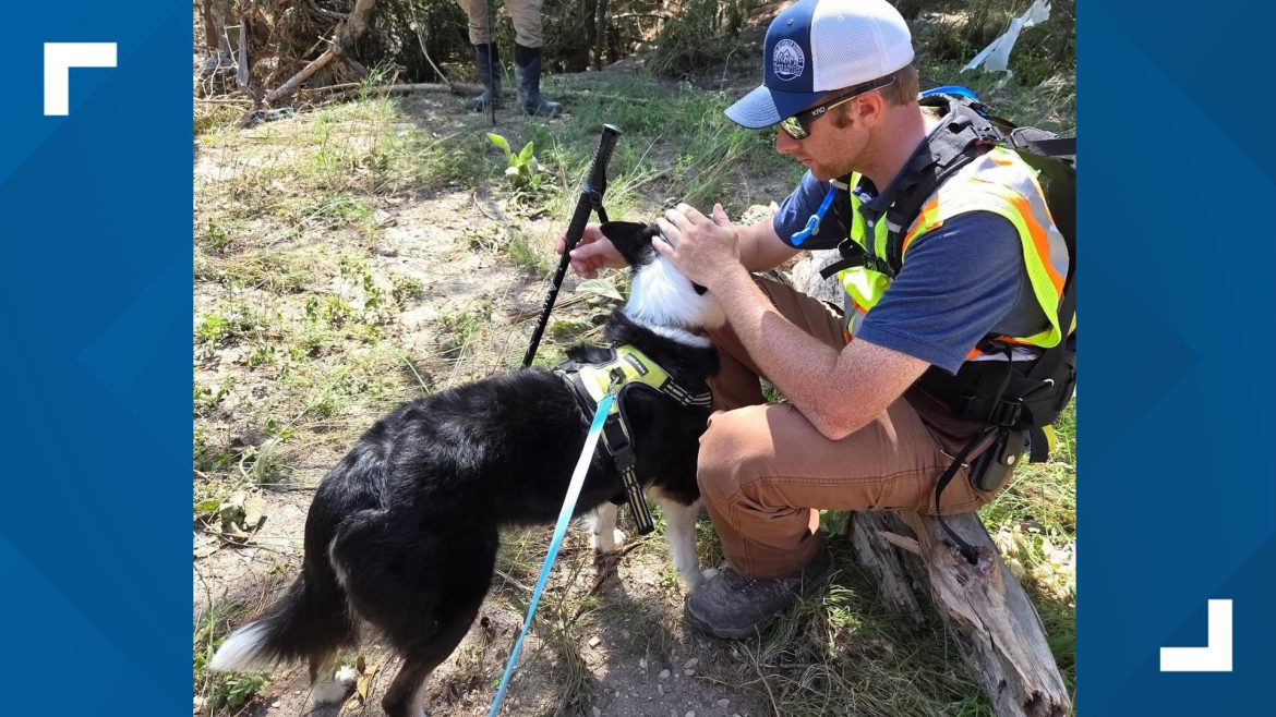 c79b2ea9-4645-4cd7-87e8-beca01ece750_1920x1080