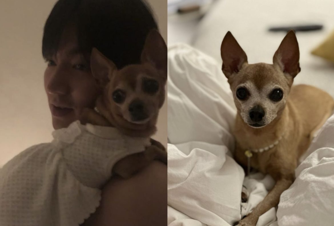 lee-min-ho-choco_2025-07-15_12-08-52