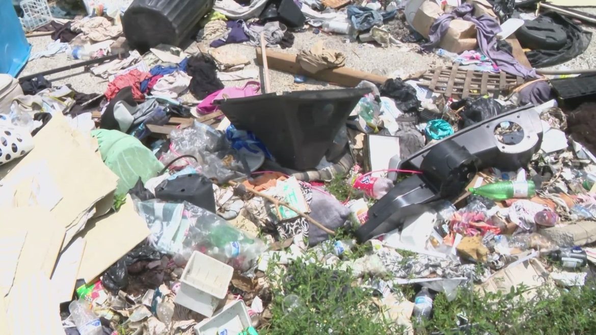 771f783f-cf96-43ac-b791-e4b037d5d406_1920x1080