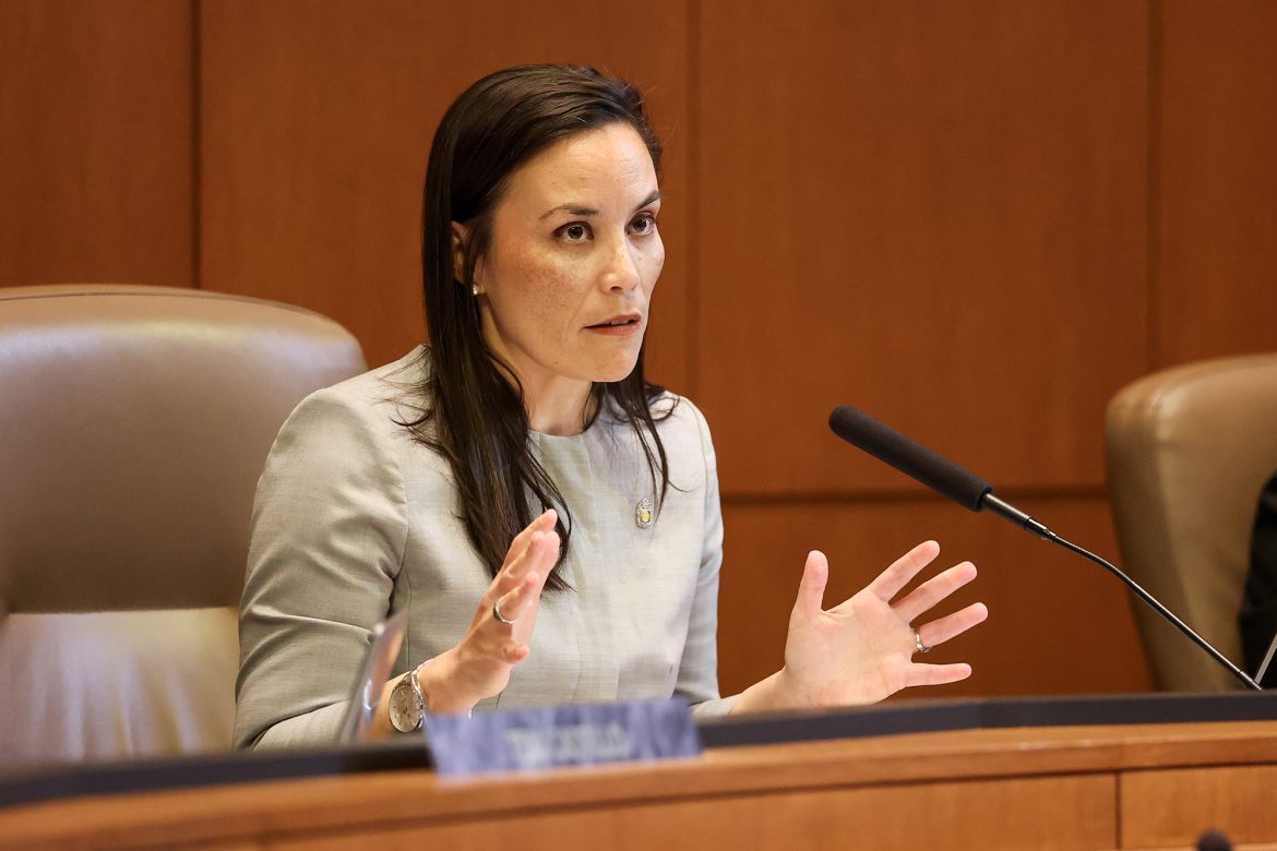 PMCouncilReport MP 04