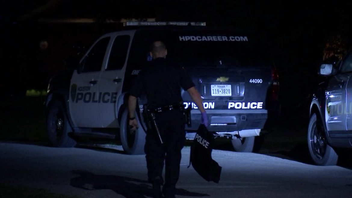 2531503_101417-EWN-NN530-police-impersonator-home-invasion-vid (1)