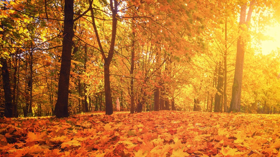 c0c20a63-b4c0-40e5-baf6-4aea89dbd98e_1920x1080